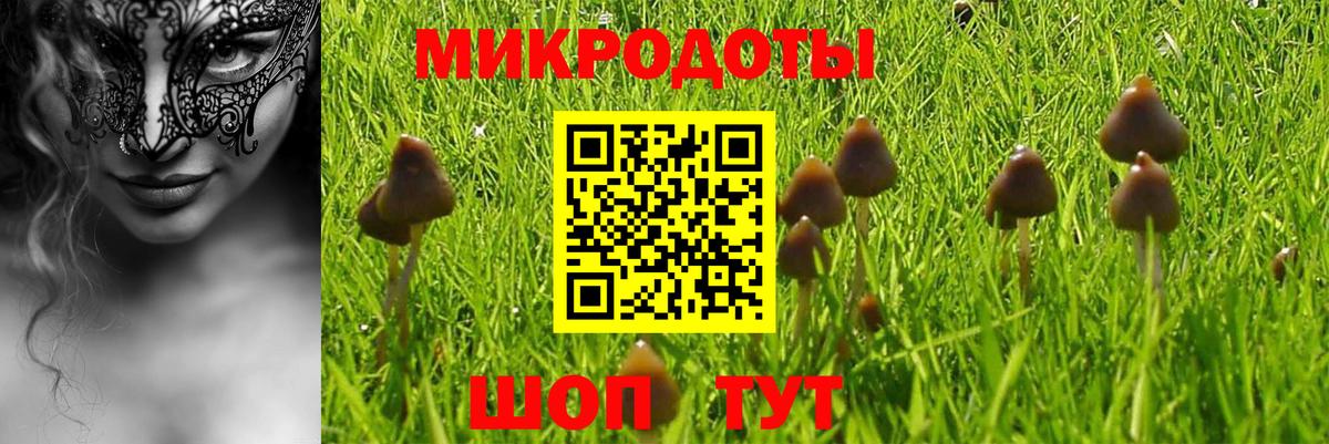 Галлюциногенные грибы мухоморы Якутск